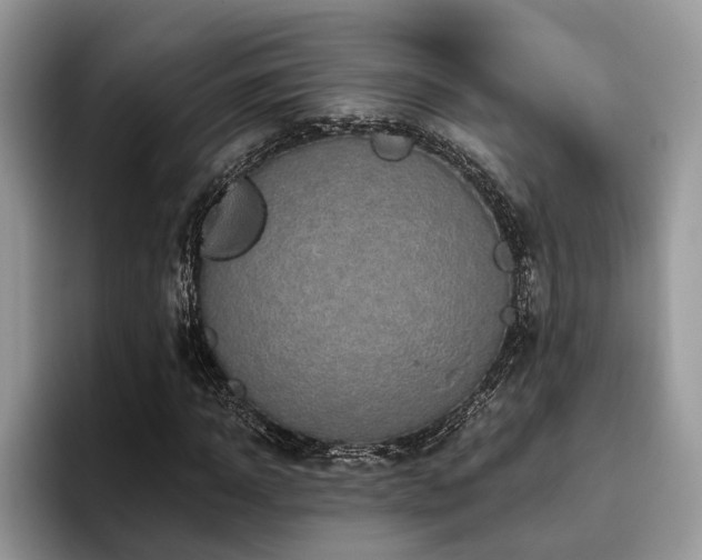 X0000096210918200801181427