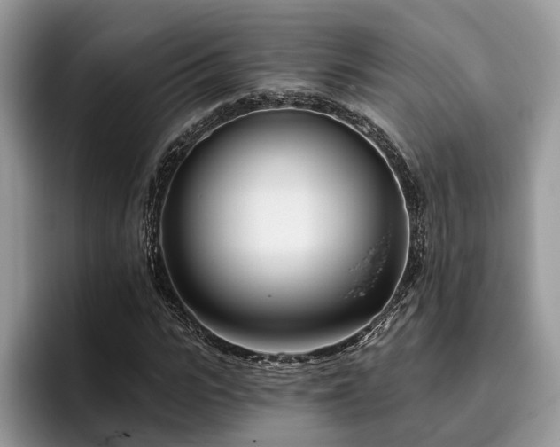 X0000096210919200801181427