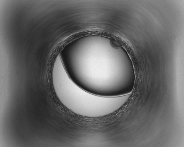 X0000096210920200801181427