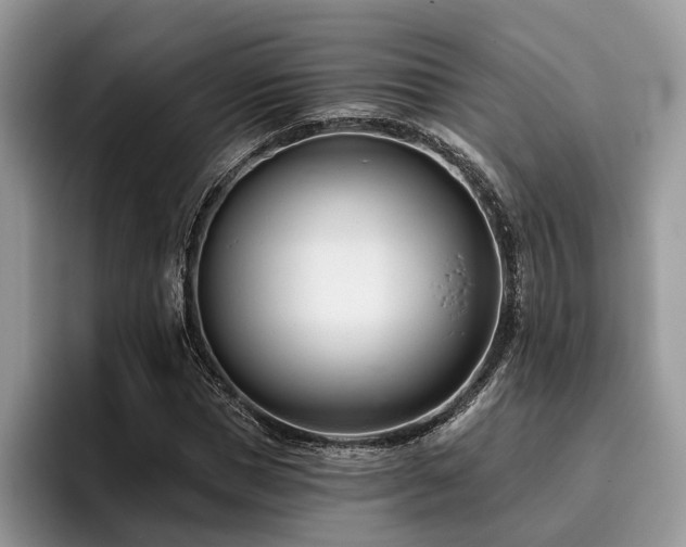 X0000096210921200801181427