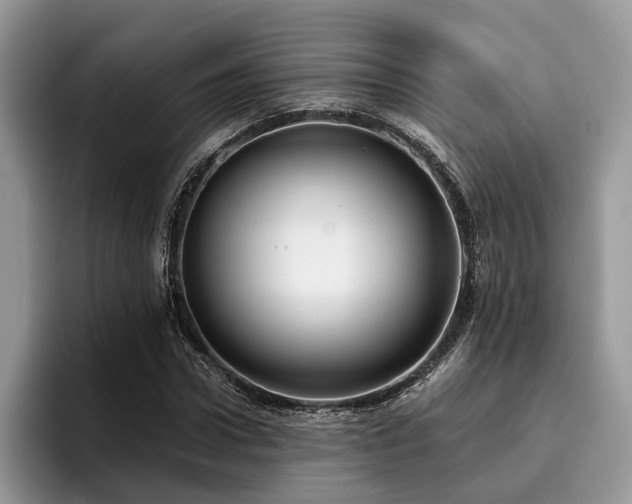 X0000096210922200801181427