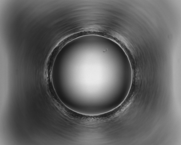 X0000096210923200801181427