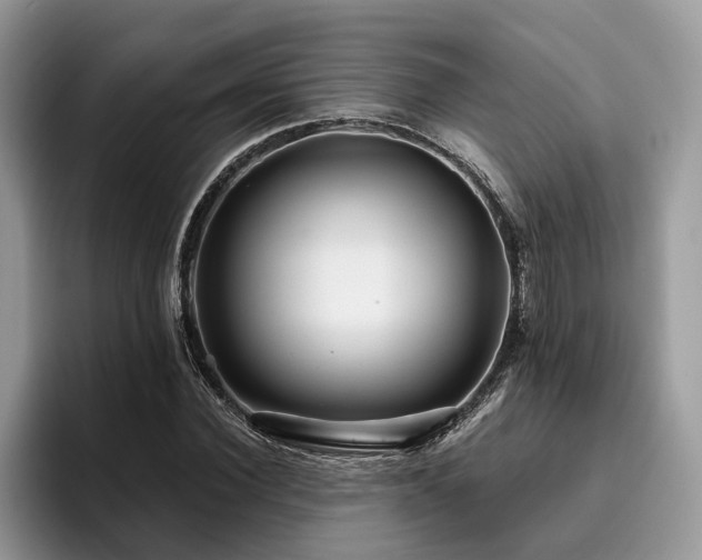 X0000096210924200801181427