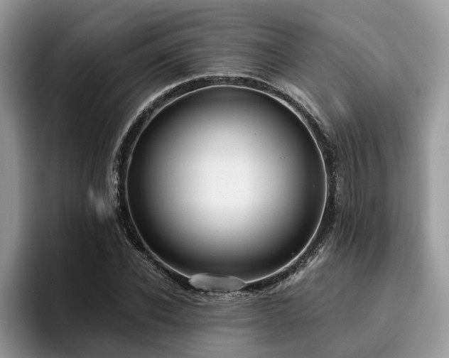 X0000096210926200801181427