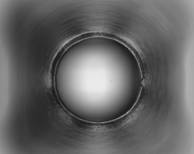 X0000096210927200801181427