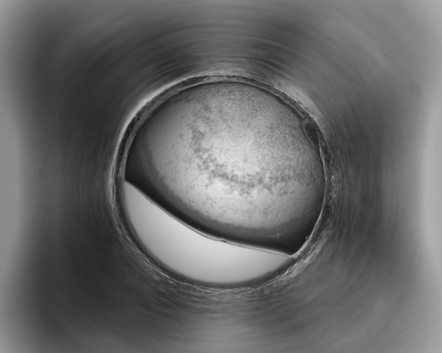 X0000096210928200801181427