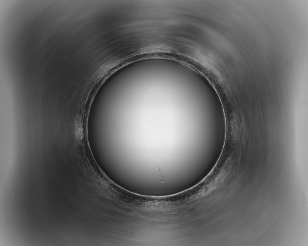 X0000096210929200801181427