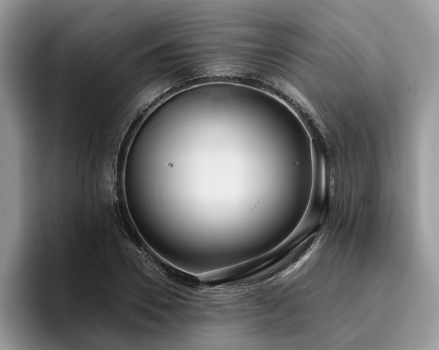 X0000096210930200801181427