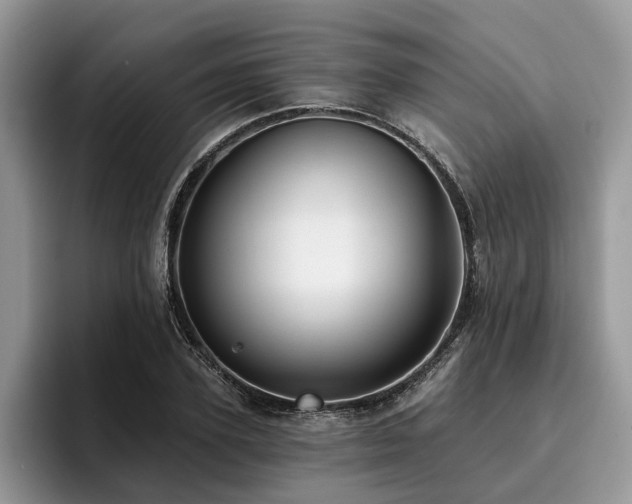 X0000096210931200801181427