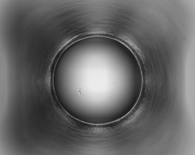 X0000096210933200801181427