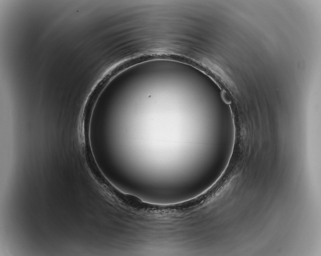 X0000096210934200801181427