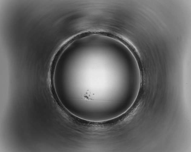 X0000096210935200801181427