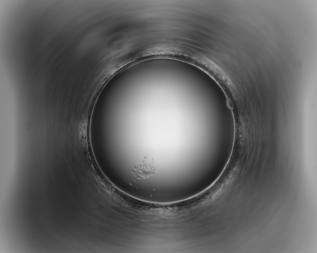 X0000096210937200801181427