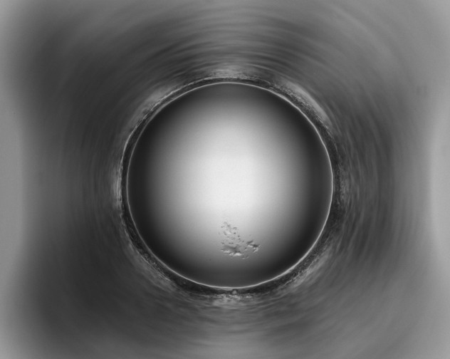 X0000096210938200801181427