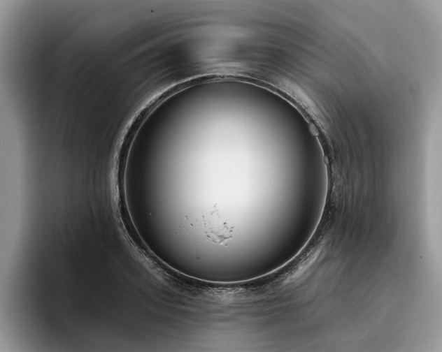 X0000096210939200801181427