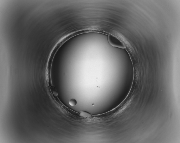 X0000096210940200801181427