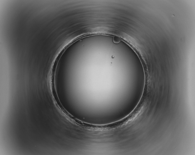X0000096210941200801181427