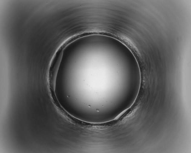 X0000096210942200801181427