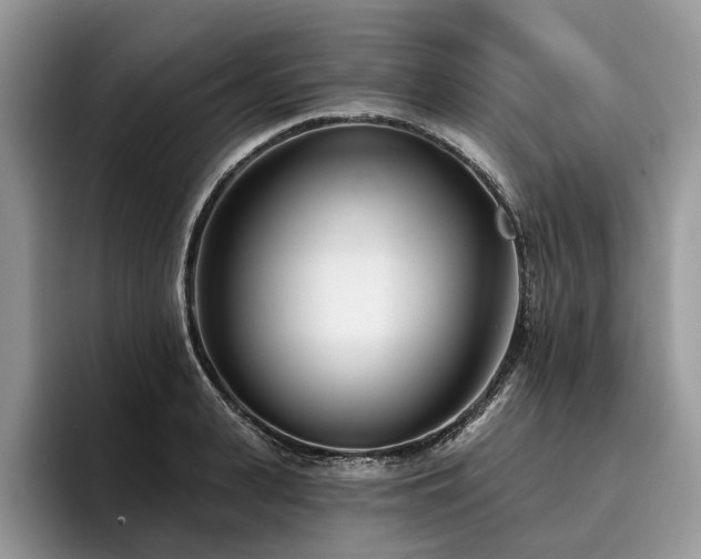 X0000096210943200801181427