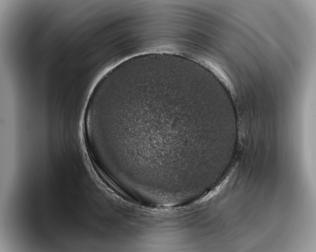 X0000096210944200801181427