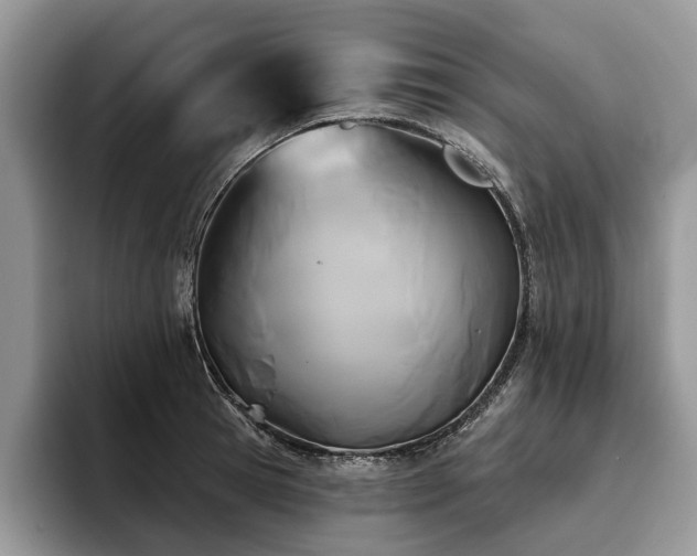 X0000096210945200801181427
