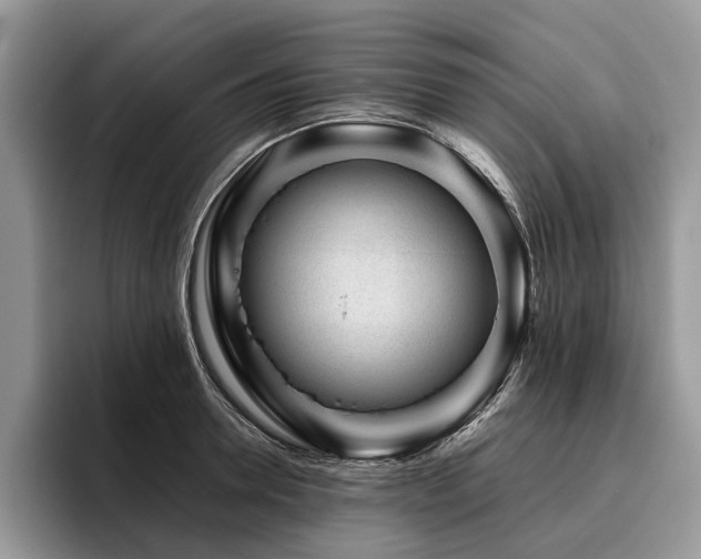 X0000096210946200801181427