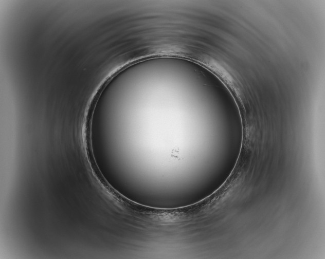 X0000096210947200801181427