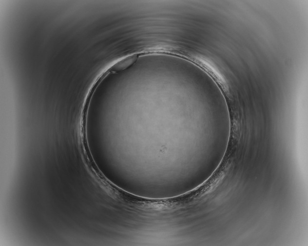 X0000096210948200801181427