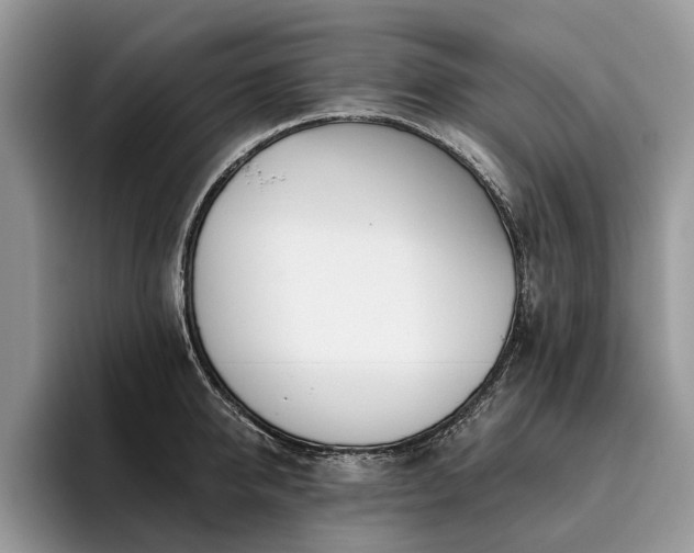 X0000096210950200801181427