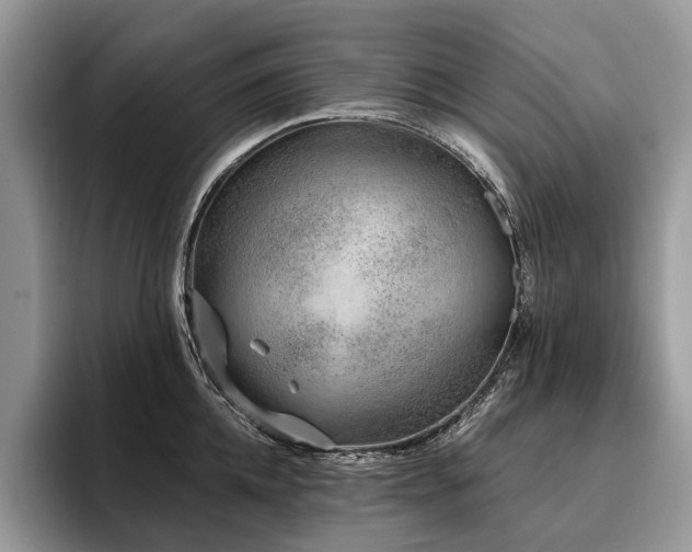 X0000096210952200801181428