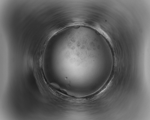 X0000096210953200801181428