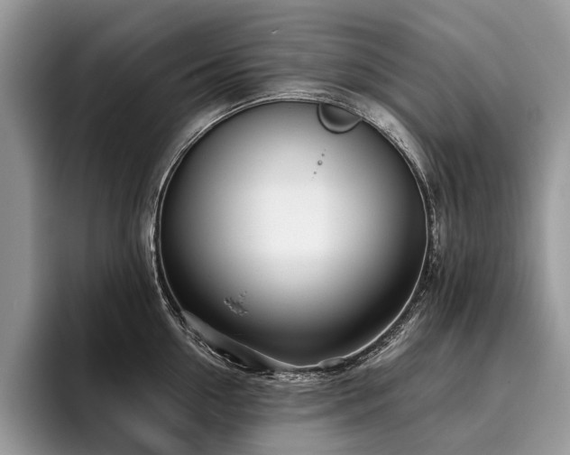X0000096210954200801181428