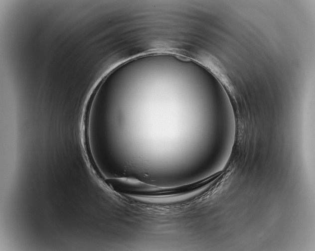 X0000096210955200801181428