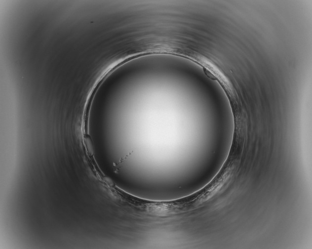 X0000096210956200801181428