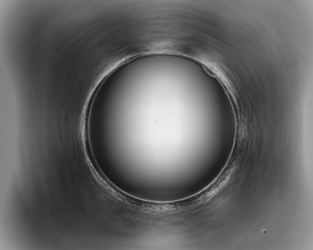 X0000096210957200801181428