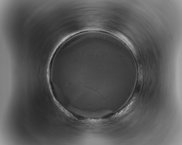 X0000096210958200801181428