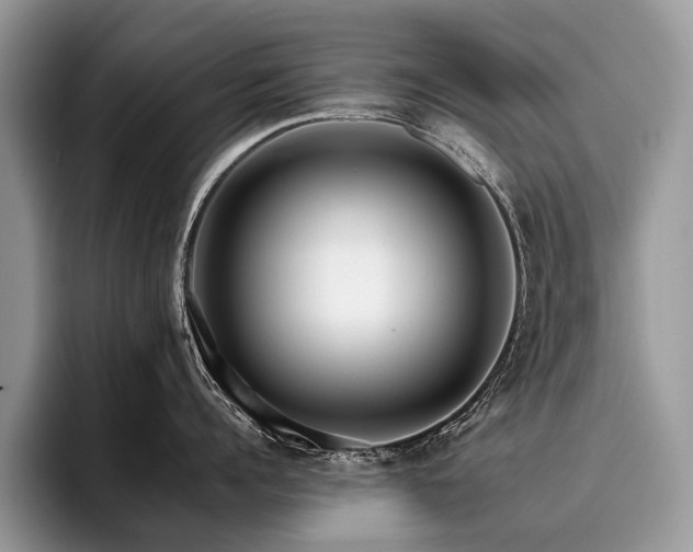 X0000096210960200801181428