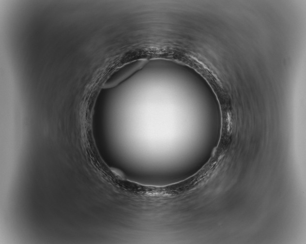 X0000096210961200801181427