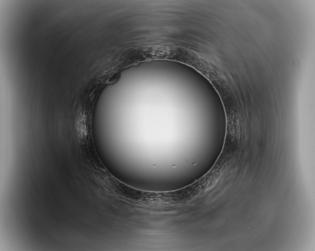 X0000096210962200801181427