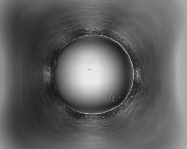 X0000096210963200801181427