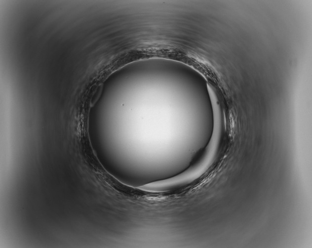 X0000096210965200801181427