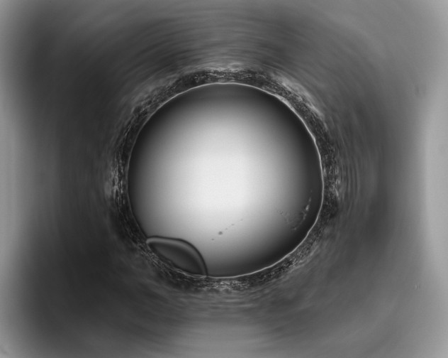 X0000096210966200801181427
