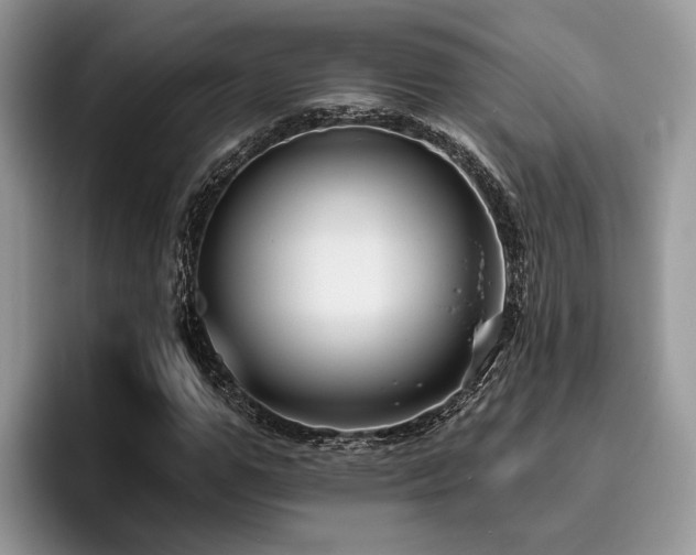 X0000096210967200801181427