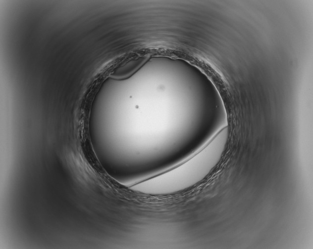 X0000096210968200801181427