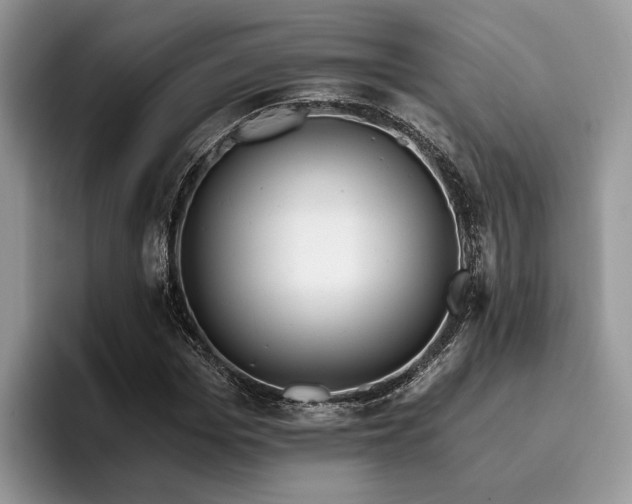 X0000096210969200801181427