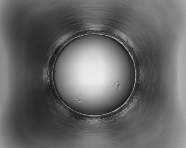 X0000096210970200801181427