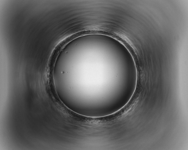 X0000096210971200801181427