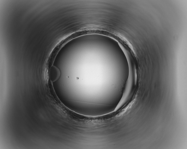 X0000096210973200801181427