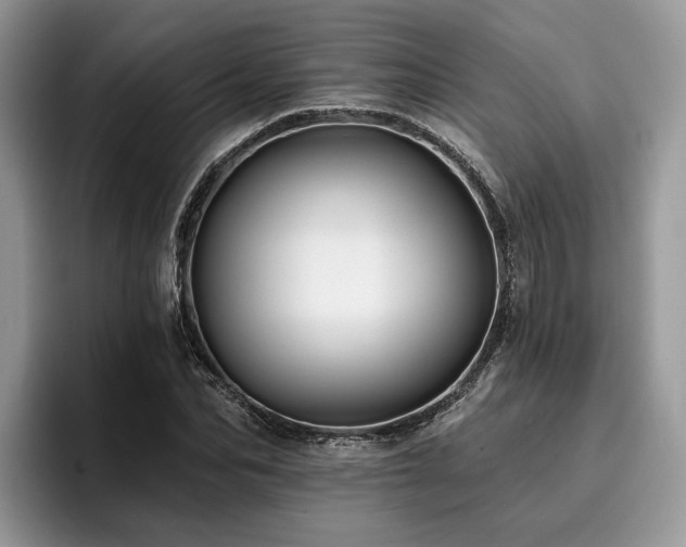 X0000096210974200801181427