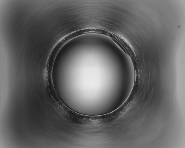 X0000096210975200801181427